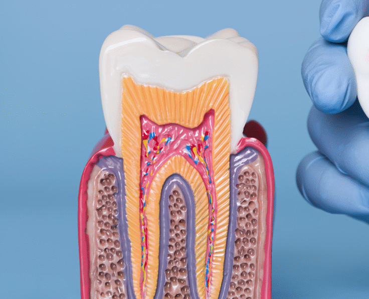 Tooth Recontouring banner